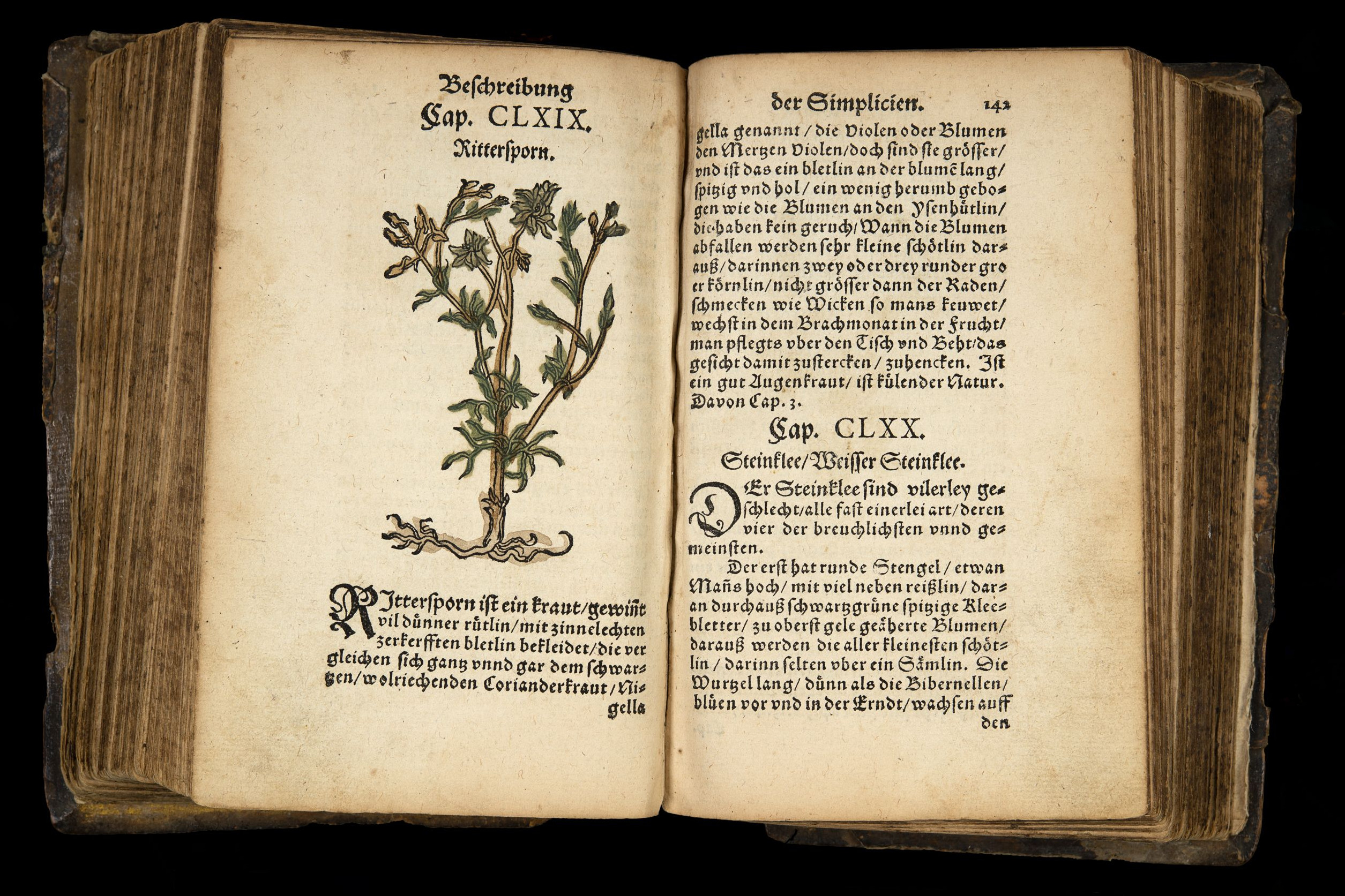Eine Seitenansicht aus dem Fleiner Kräuterbuch, 1566 (Foto: Stadtarchiv Heilbronn/B. Kimmerle)