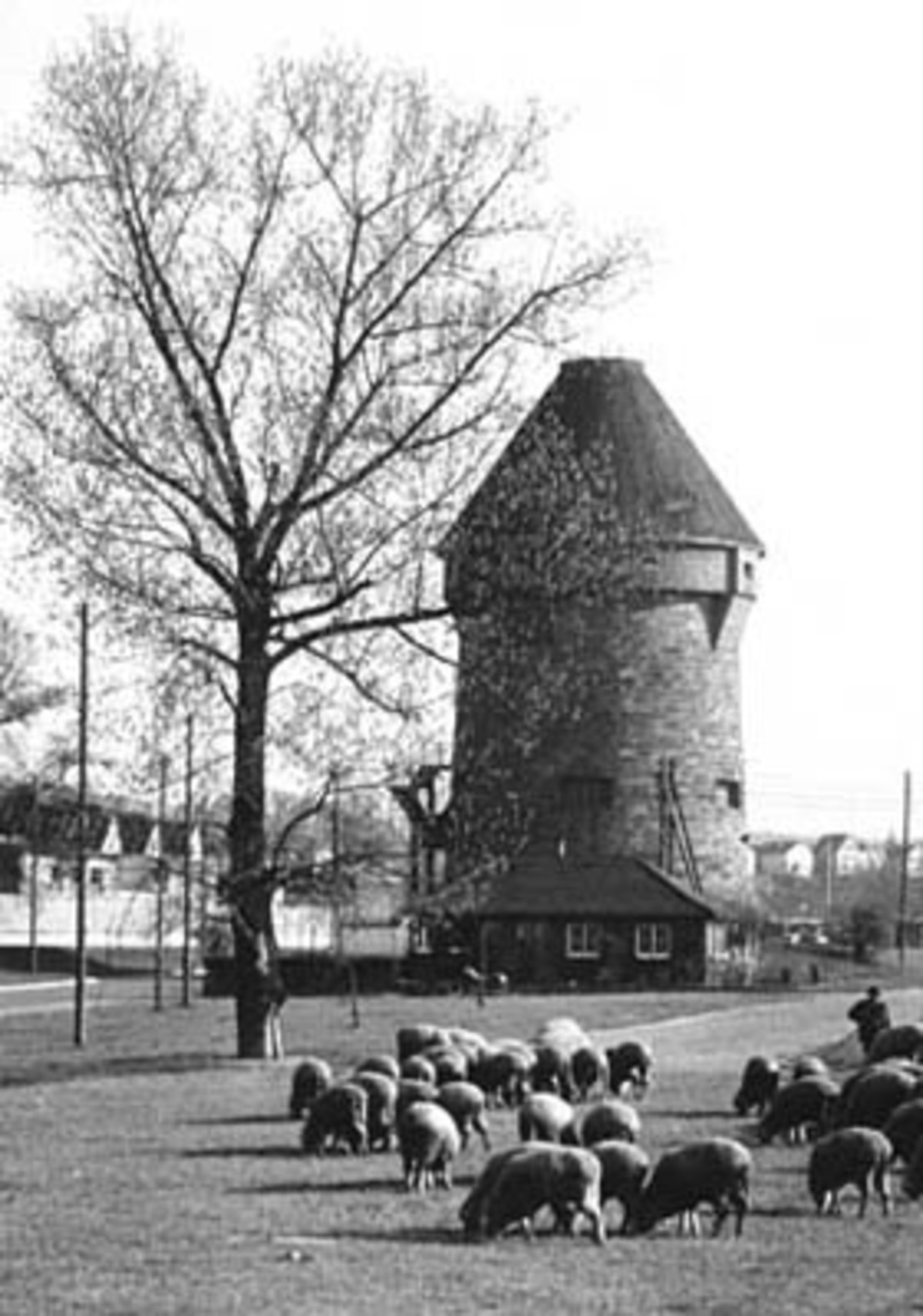 Theresienwiese und Theresienturm (früher General-Wever-Turm); 1960er Jahre (Stadtarchiv Heilbronn) Theresienwiese und Theresienturm (früher General-Wever-Turm); 1960er Jahre (Stadtarchiv Heilbronn)