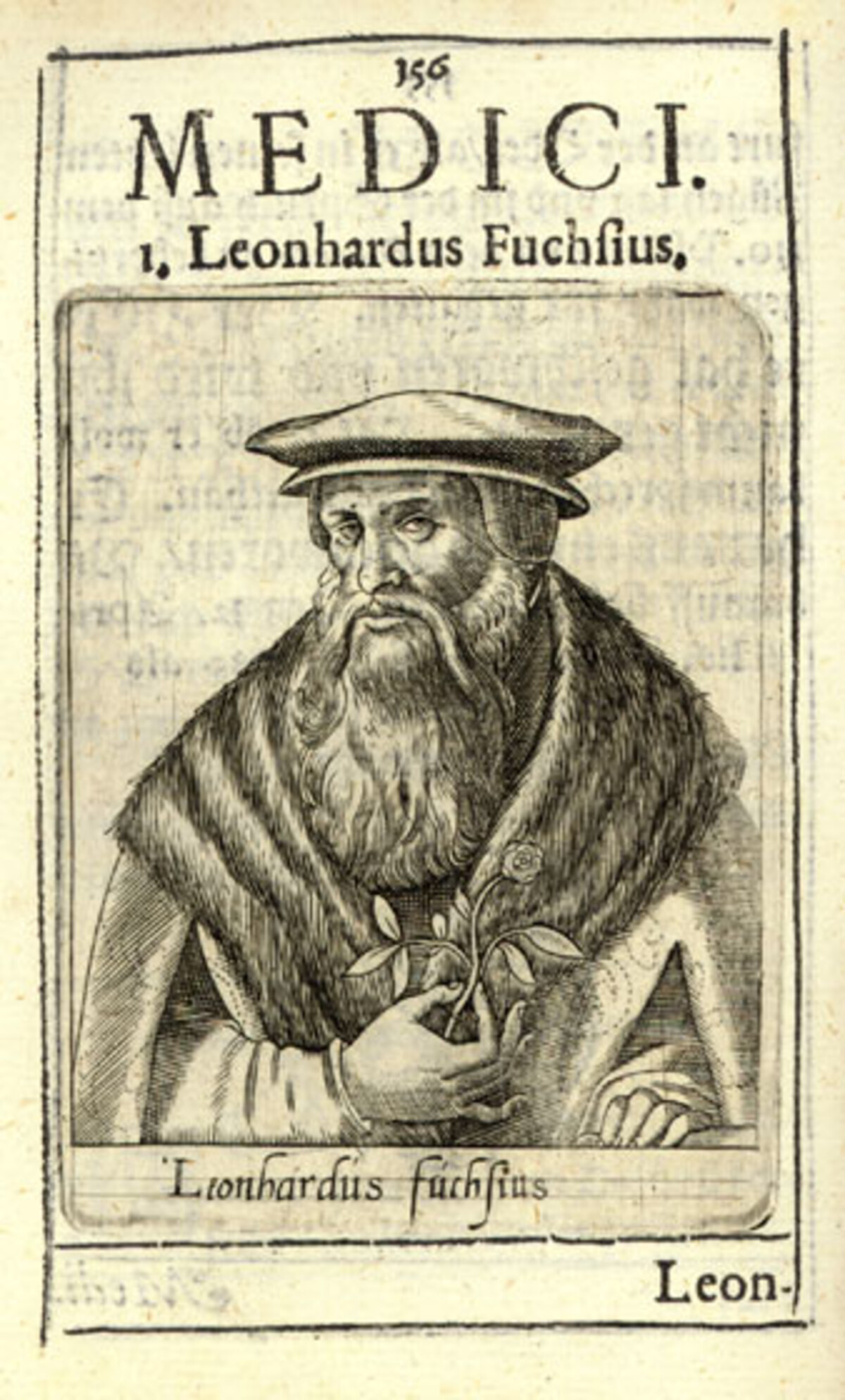 Leonhart Fuchs (1501-1566)
(Stadtarchiv Heilbronn)
