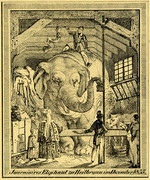 Werbe- bzw. Erinnerungsblatt für den Auftritt von "Tourniaires Elephant zu Heilbronn im December 1835"
(Stadtarchiv Heilbronn E002-930)