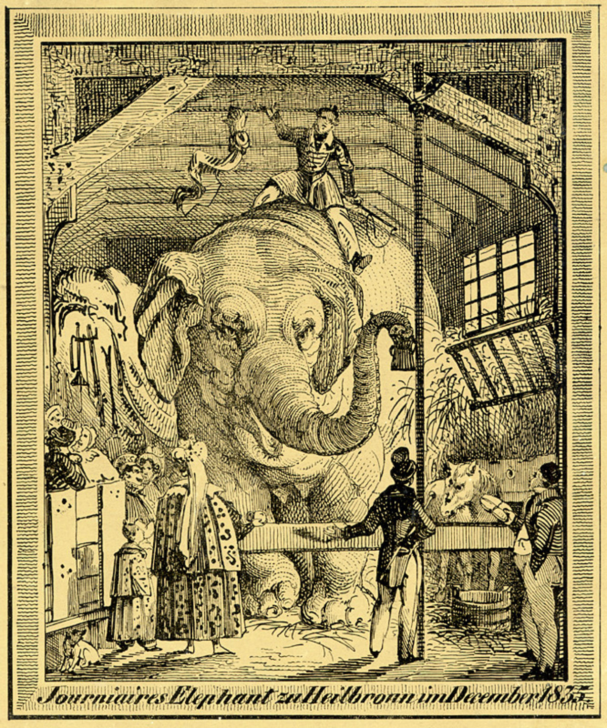 Werbe- bzw. Erinnerungsblatt für den Auftritt von "Tourniaires Elephant zu Heilbronn im December 1835" (Stadtarchiv Heilbronn E002-930) Werbe- bzw. Erinnerungsblatt für den Auftritt von "Tourniaires Elephant zu Heilbronn im December 1835"
(Stadtarchiv Heilbronn E002-930)